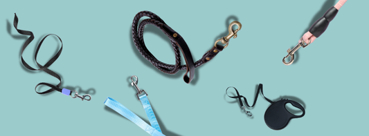 Welches Material ist geeignet für Hundeleinen? Tau, Kletterseil, Biothane, Leder. Robust und geeignet für große Hunde? Kletterseil